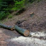 2004 btl schiessstand rohbau1 4 20100122