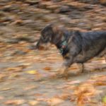 2004 btl schiessstand rohbau1 54 20100122