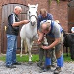 2008 btl 975 jahre neesen sa hufbeschlag 6 20091021