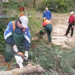 2010 btl denkmalpflege 12 20101122