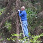 2010 btl denkmalpflege 14 20101122