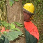 2010 btl denkmalpflege 5 20101122