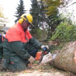 2010 btl denkmalpflege 6 20101122