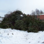 2010 btl neesen taut auf aufbau 25 20100116