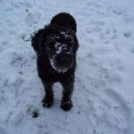 2010 btl neesen taut auf aufbau 3 20100116