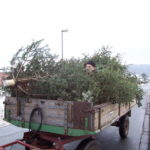 2010 btl neesen taut auf aufbau 6 20100116