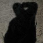 2010 btl neesen taut auf feuer 29 20100124