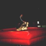 2004 k1 herrenfahrt 24 20091018