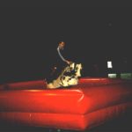 2004 k1 herrenfahrt 25 20091018