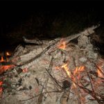 2004 k1 kartoffelfeuer 7 20091018