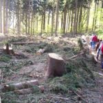 2007 k1 fruehjahrsspaziergang 26 20091017