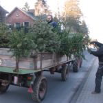 2013 btl knut sammeln 15 20130203