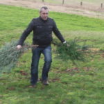 2014 btl knut 10 20140115