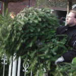 2014 btl knut 12 20140115