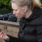 2014 btl knut 15 20140115