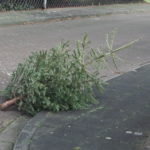 2014 btl knut 17 20140115