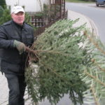 2014 btl knut 31 20140115