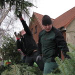 2014 btl knut 34 20140115