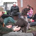 2014 btl knut 36 20140115