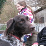 2014 btl knut 37 20140115