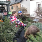 2014 btl knut 49 20140115