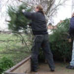 2014 btl knut 6 20140115