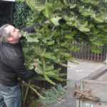 2014 btl knut 9 20140115