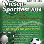 2014 btl wiesensportfest 1 20140908