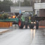 2015 btl knut 10 20150111