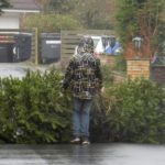 2015 btl knut 12 20150111