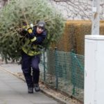 2015 btl knut 16 20150111