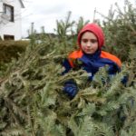 2015 btl knut 26 20150111