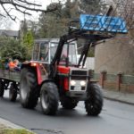 2015 btl knut 4 20150111