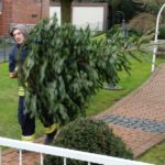 2015 btl knut 5 20150111