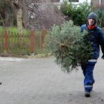 2015 btl knut 9 20150111