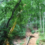 2016 bataillon schiessstand 23 20160528