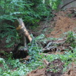 2016 bataillon schiessstand 32 20160528