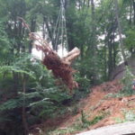 2016 bataillon schiessstand 34 20160528