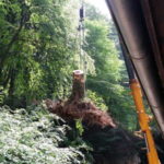 2016 bataillon schiessstand 35 20160528