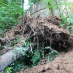 2016 bataillon schiessstand 4 20160528