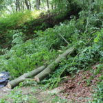 2016 bataillon schiessstand 6 20160528