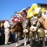 2003 k2 herrentour 13 20091122