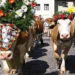 2003 k2 herrentour 17 20091122