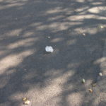 2011 k1 bosseln 9 20111003