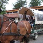 2011 k1 familienausflug 13 20110726