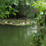 2011 k1 familienausflug 26 20110726