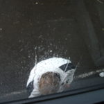 2011 k1 familienausflug 6 20110726