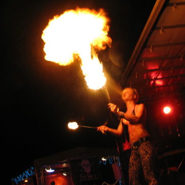 2011 Fire & Light’s