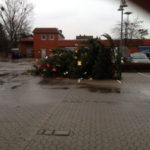 20131205 weihnachtsbaum xaver