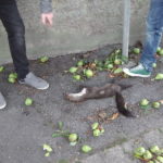 2013 k1 bosseln 25 20131005